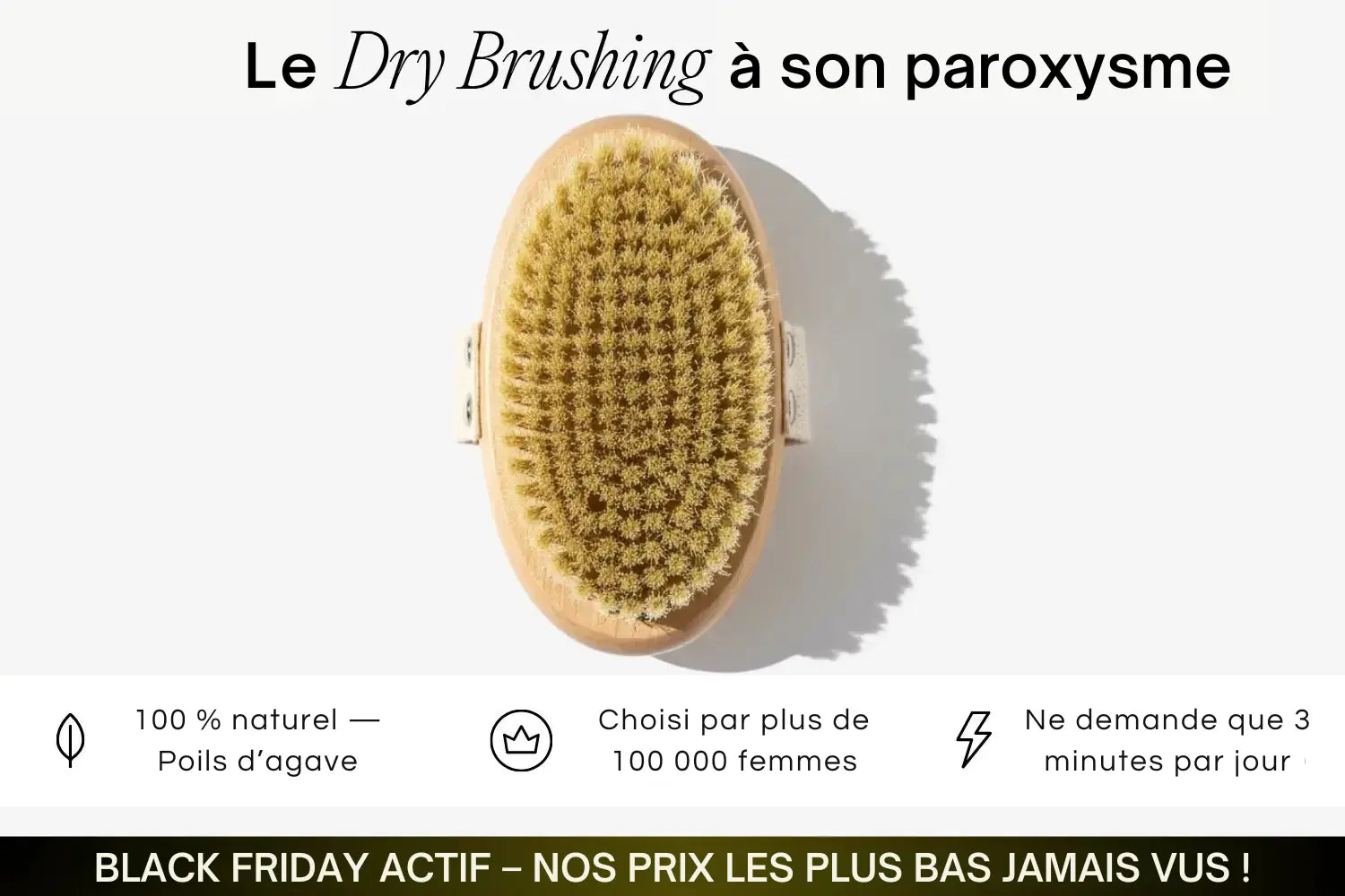 Brosse sèche High Brush™