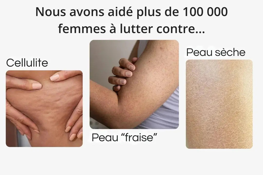 Brosse sèche High Brush™