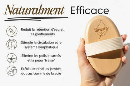 Brosse sèche High Brush™