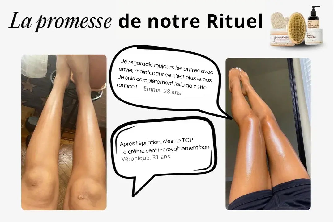 Brosse sèche High Brush™