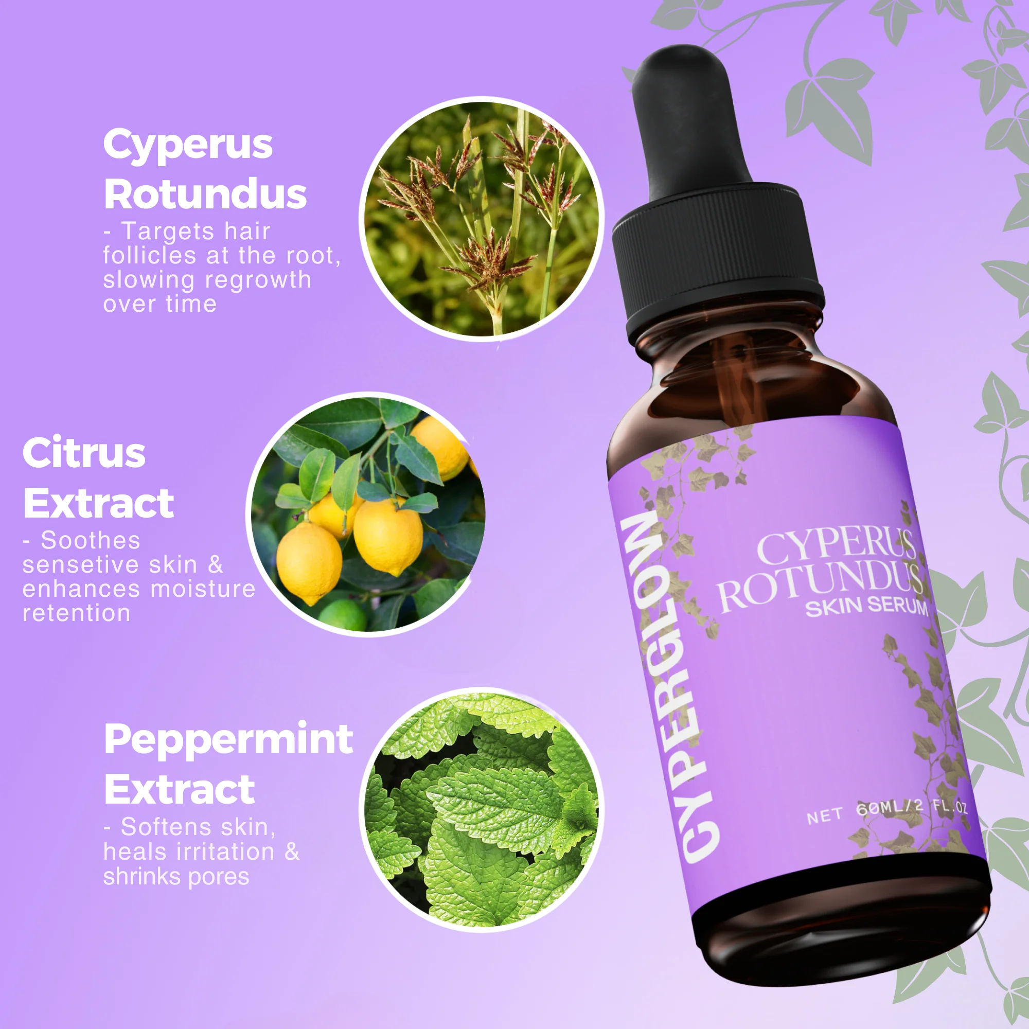 Cyperus - disparition définitve des poils ! RONEX